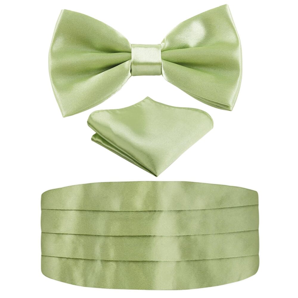 1372 Multicolored Silk Solid Cummerbund Gift Bow Tie Set, Sage Green